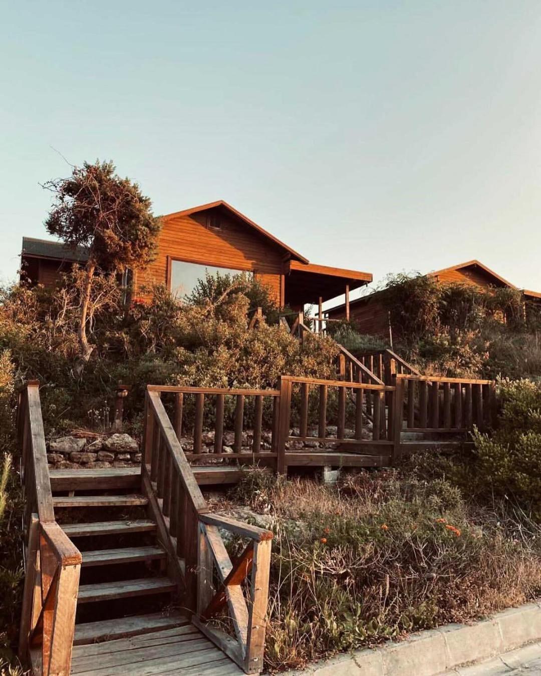 Zambak Holiday Village & Restaurant Superb Seafront Location ! Agios Georgios  Exteriör bild